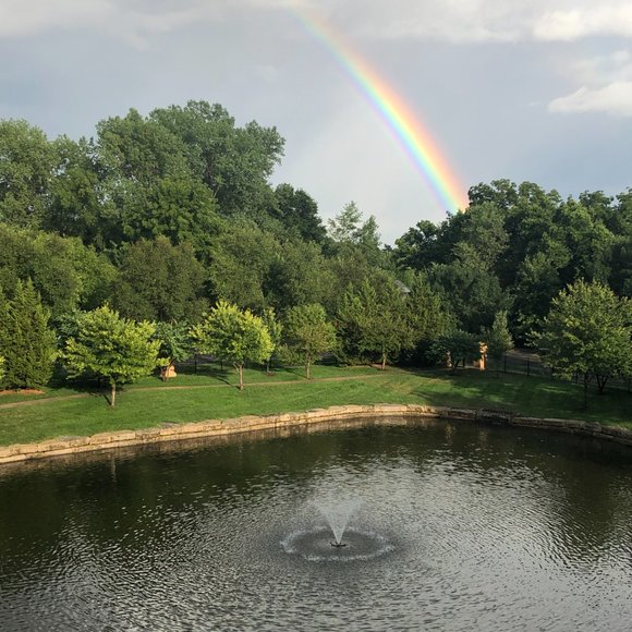 Meet your Posher, Ann - Picture 10 of 16